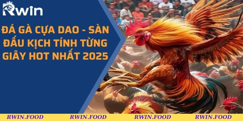 Đá Gà Cựa Dao - Sàn Đấu Kịch Tính Từng Giây Hot Nhất 2025