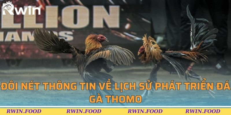 Đôi nét thông tin về lịch sử phát triển đá gà Thomo