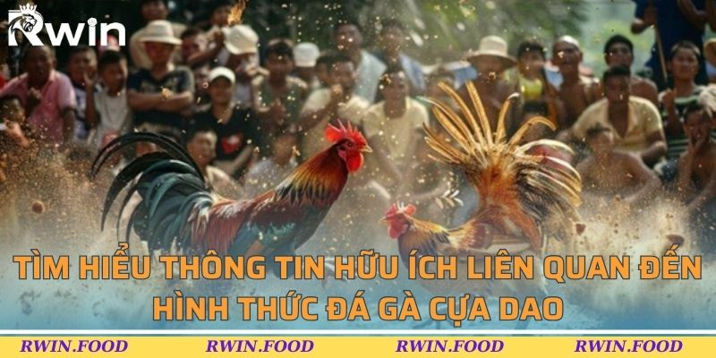 Tìm hiểu thông tin hữu ích liên quan đến hình thức đá gà cựa dao