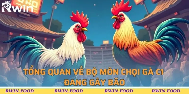 Tổng quan về bộ môn chọi gà C1 đang gây bão